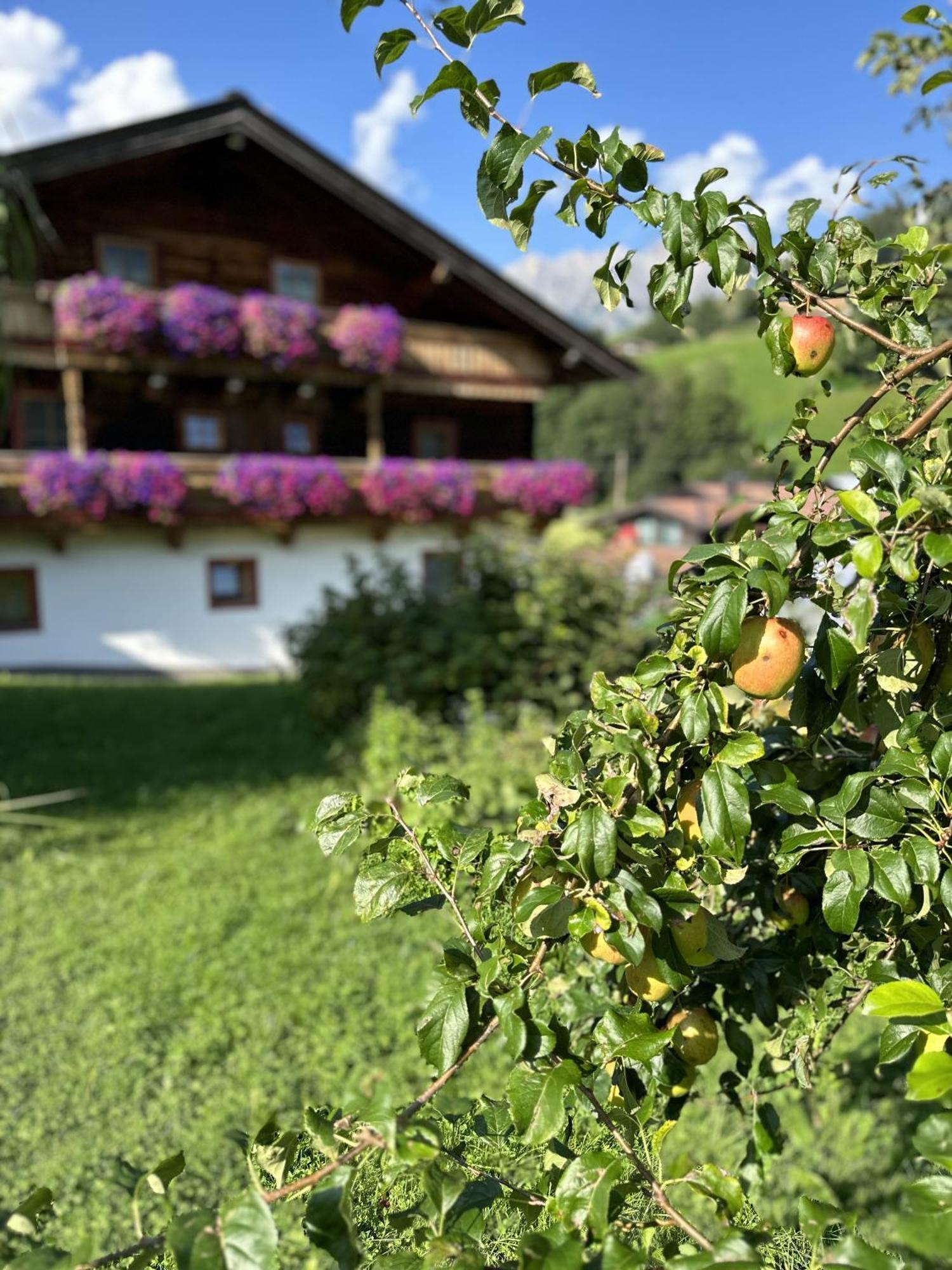 Ferienwohnung Steinernes Meer Maria Alm am Steinernen Meer Εξωτερικό φωτογραφία