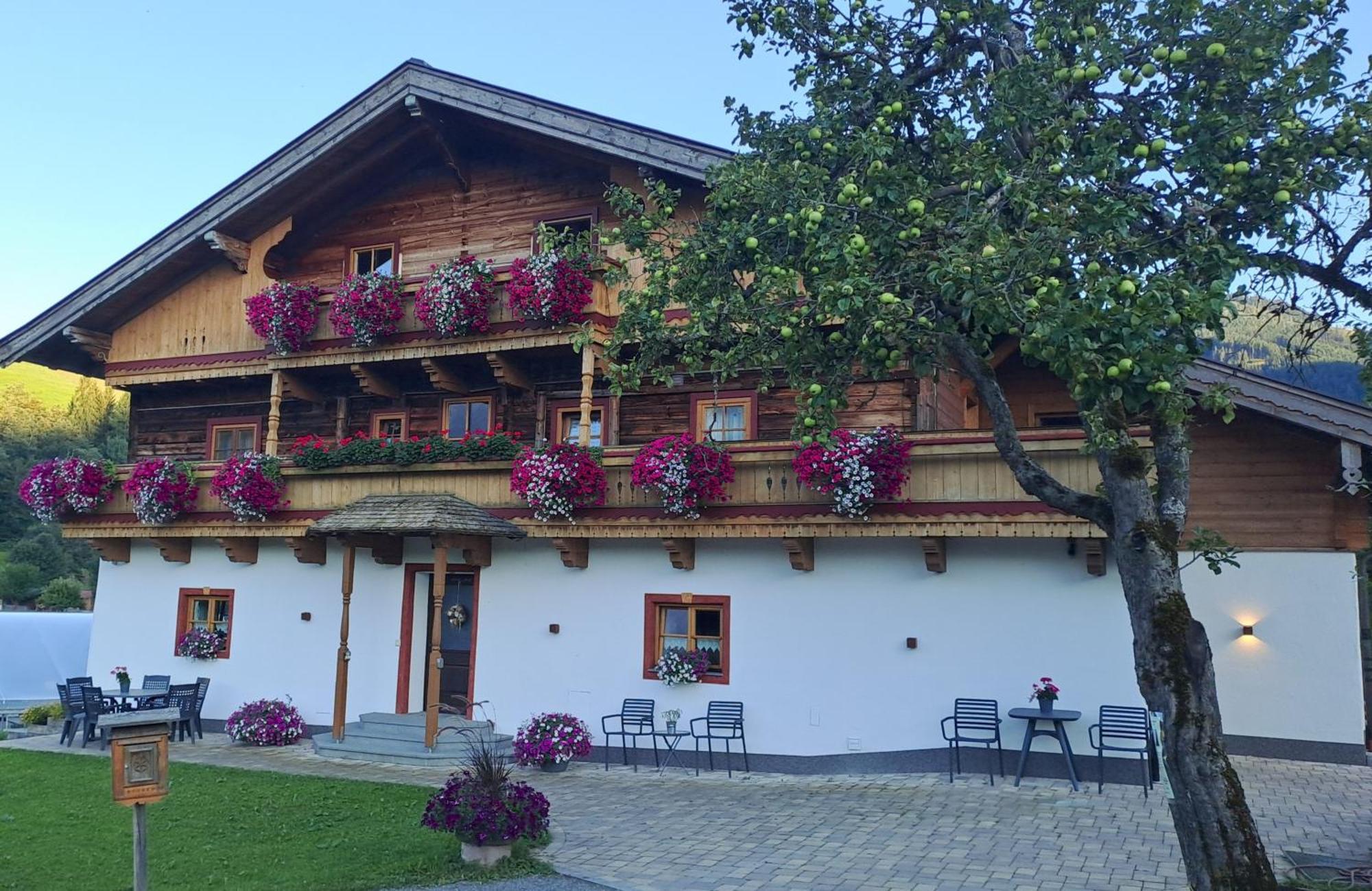 Ferienwohnung Steinernes Meer Maria Alm am Steinernen Meer Εξωτερικό φωτογραφία